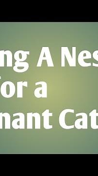 Making a Nesting Box for a Pregnant Cat