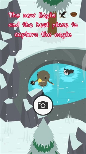 Sneaky Sasquatch - the best place to capture the eagle 🦅 #sneakysasquatch