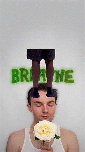 #Meme the song goes hard