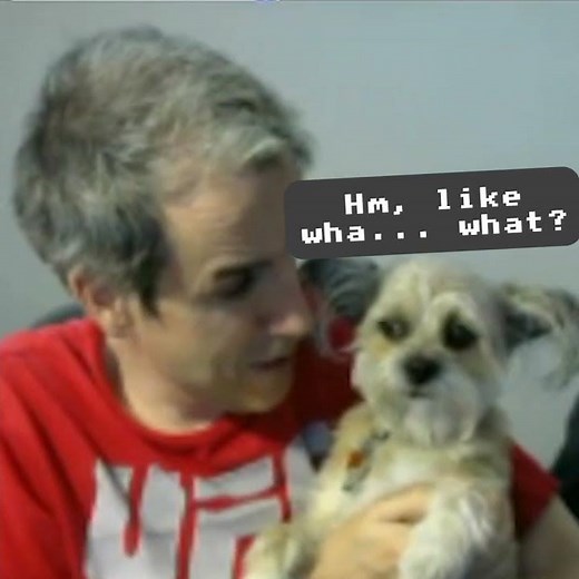 Mr. Puppy Is Like... "What?" 😬