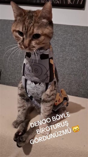 Deno (@mucizedeno) adlı kullanıcının Diamonds - Bongo Cat ile oluşturduğu videoları