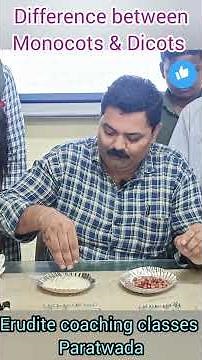 🍃 Monocot or Dicot? Learn to Identify Instantly! | Class 9 & 10 Biology | NEETFoundation