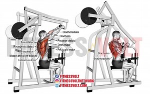Build Back Strength: Seated High Row for Powerful Lats & Biceps – Fitness Volt