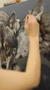 A family of wolves… acrylic on linen. This piece has been the most significant piece in my career so far. Nothing has come close to it in scale and detail. I love it, I loved creating it, and every painting I have created after it has been influenced by the refining I did of my technique during the process. Over the years there have been a handful of these key pieces, and I’m so thrilled to see each one in hindsight, reliving the experience with a new perspective. #acrylicpainting #realism #real