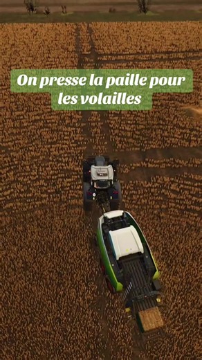 Pressage de paille pour les futurs volailles🐓🐓 Map:Belgique profonde 🌍 #agriculturetiktok #jeuxvideo #fs25 #paille #pourtoi