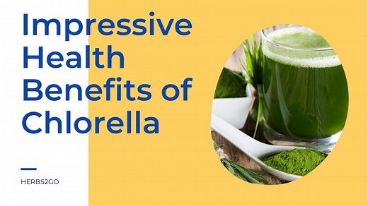 Watch Impressive Health Benefits of Chlorella on Amazon Live