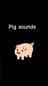 pig sound effects