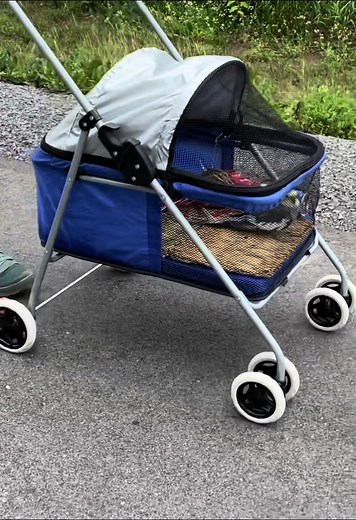 Enjoy the Serenade of Birds Singing | The Great Outdoors