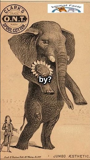 Jumbo the Elephant: The Giant That Changed History