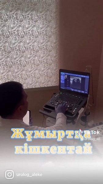 Understanding Ultrasound Imaging in Clinical Settings