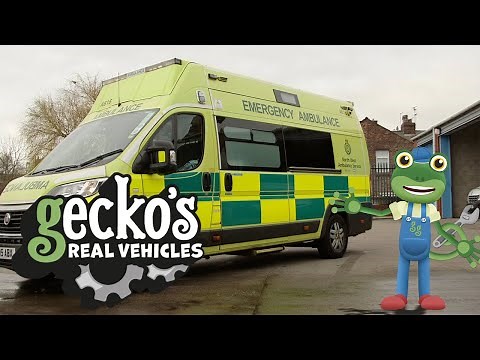 Gecko And The Ambulance - Gecko's Real Vehicles | Educational Videos for Kids