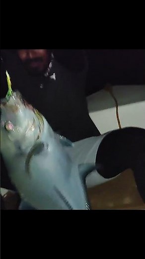 Epic Deep Sea Fishing Adventure in the Maldives! 🌊 Caught Huge Fish on Our Boat Trip!