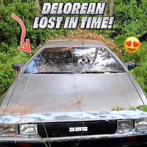DeLorean DMC-12 left for ruin | Bruce Wilson