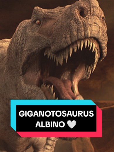 Explore Giganotosaurus Albino Facts and Humor