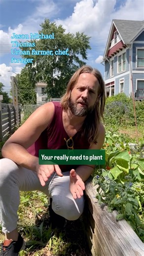 Jason🌱Chef•UrbanFarmer•Forager | If you’re just starting a garden and wondering what to plant — let me make the case for borage. Borage is what we call a companion plant —... | Instagram