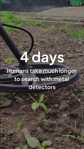 These Rats Are Real-Life Bomb Detectors!