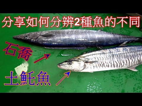 【分享必看】手把手教你如何從外觀分辨土魠魚跟石喬以及切開後的肉質顏色差別