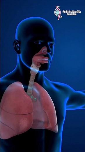 The Importance of Nasal Douching | Dr Gil M Vicente #shorts