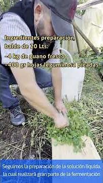 Elaboración de BIOL