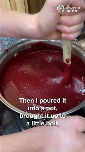The Secret to Wonderfully Delicious Homemade Fruit Leather