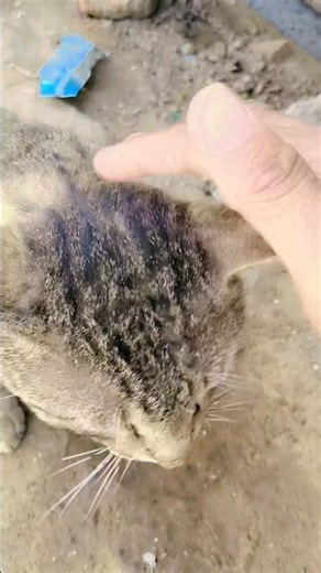 @##chhora# main#Balaji# ka #Bharat #karo# sirf #Tera# pyar# karna##@🫶🧿👌🫰🧿🧿