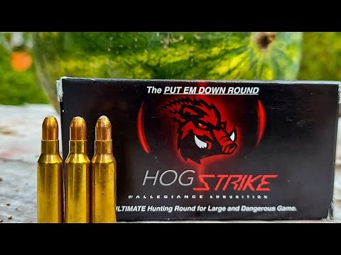 Ultimate Hunting Round 🐗 🦌 🐻 | Allegiance Ammunition HogStrike