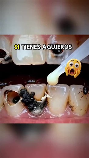 Envío gratis hoy: aprovecha la oferta de envío gratuito