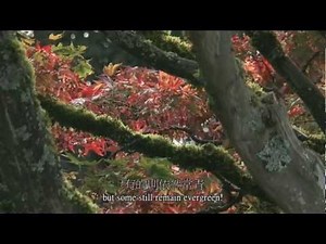 Explore Canada : Vancouver Fall - 秋色溫哥華