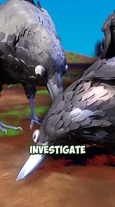 Why a Group of Crows is Called a Murder 🐦 | 8G Logics
