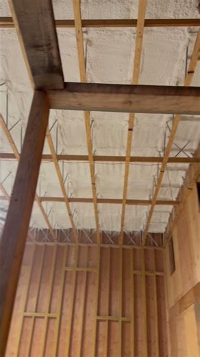 Spray foam insulation on ceiling 👷‍♂️👷‍♂️#insulation #construction #contractor #contractors #work