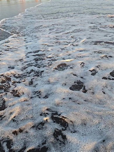 Videos de Daxter (@daxter.t) con “sonido original - 𝓡𝓸𝓶𝓮𝓻𝓸 ♪”