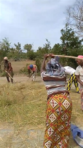 Au champ ✅ | 𝐖𝐚𝐬𝐬𝐨𝐥𝐨24