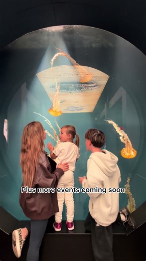 Let’s see if the Annual Pass at SeaWorld San Diego is actually worth it… 🎢🌊 ✅ Thrilling rides and Quick Queue passes ✅ Animal presentations where kids can learn something new ✅ Free access to events happening all year long ✅ Seasonal celebrations and special characters ✅ Exclusive passholder discounts on food and merch ✅ The flexibility to visit again and again ✅ Free guest tickets to share the fun ✅ Sunny California weekends ✅ First access to new attractions coming soon 👀 When you really loo