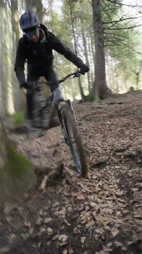 Chase the adrenaline. Find the flow. 🌲