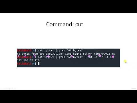 100 Writing Custom Scripts & Executing Our Custom Attacks Part 2