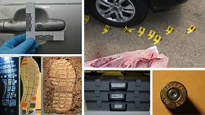 What are the basics of crime scene investigations?