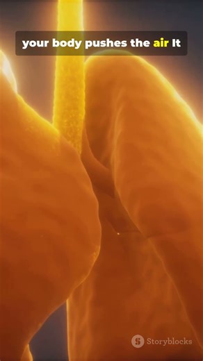 Why You Snore 😴 #facts #science #shorts #viral #neuroscience