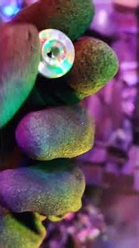 Turret Lathe Plunger Piece Cycle and Cutoff #machining #lathe #racing