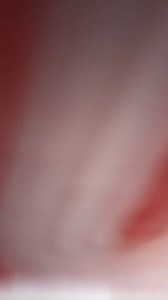 4.9K views · 54 reactions | BRUCE Trimmer Cutter Computerized Sewing Machine #shorts #ruby #sewing #machine | Ruby Sewing machine | Facebook