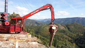 Smooth and controlled tree felling for lumber production