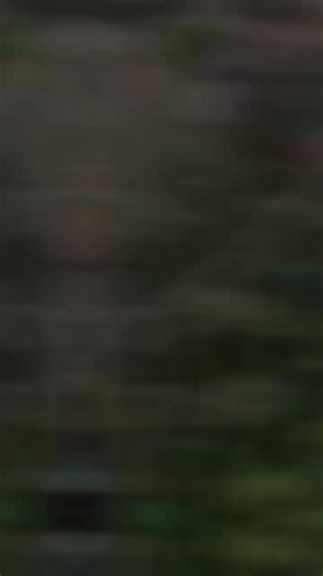 Everybody Hands Up! Join the New Trend on TikTok