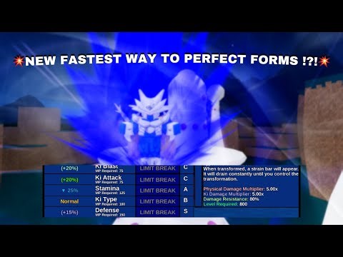 FORM PERFECTION PATHS EDITION | DRAGON GENERATIONS