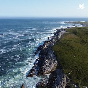 4.9K views · 106 reactions | Great news for nature! A 25-hectare...