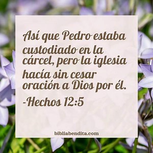 Explicación Hechos 12:5. 'Así que Pedro estaba custodiado en la cárcel, pero la iglesia hacía sin cesar oración a Dios por él.' - BibliaBendita