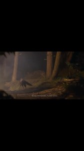 Aftermath Of The Asteroid How Long Did Dinosaurs Last After The Impact | Destiny Media