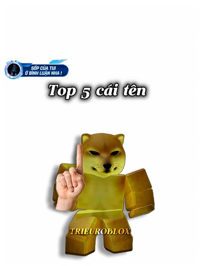 Top 5 cái tên thường là Bot :)) #trieuroblox #memes #hai #cheems #xh | Roblox