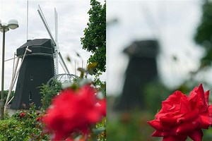 Report: Panasonic Making the First Interchangeable-Lens Light Field Camera