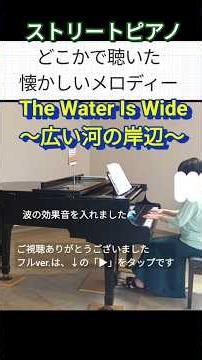 《ストリートピアノ》The water is wide（広い河の岸辺）vol.454（ショート192）