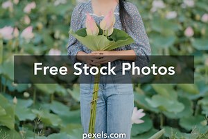 Free Asian Women With Big Breast Photos