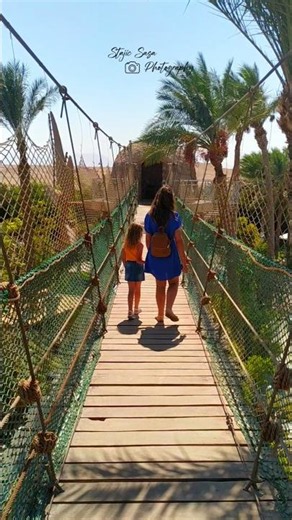 From rope bridges to underwater tunnels – Hurghada Aquarium magic! 🐢🇪🇬